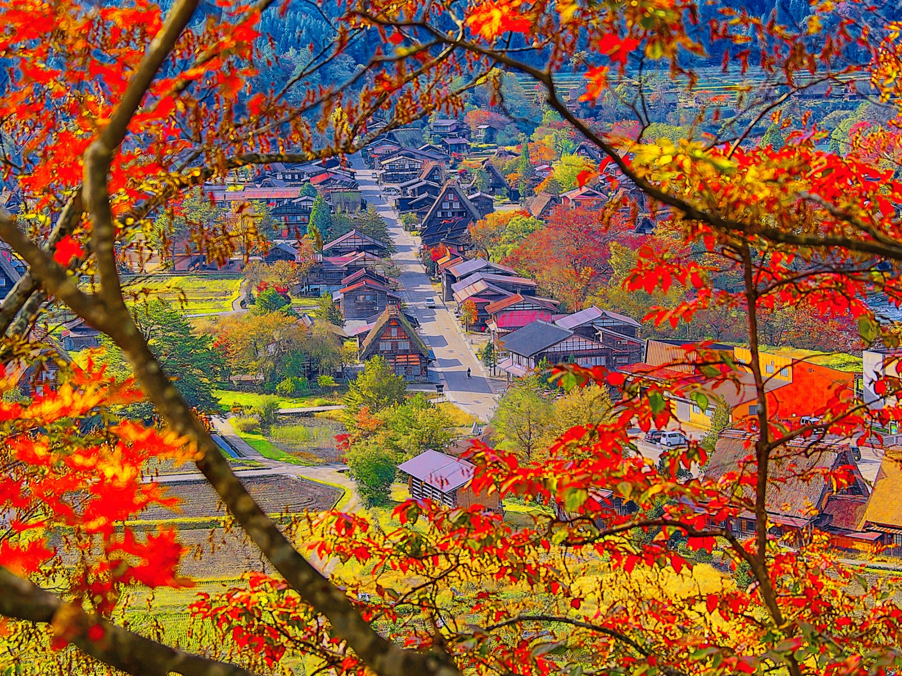 関東・北陸・東海：10月中旬～12月上旬