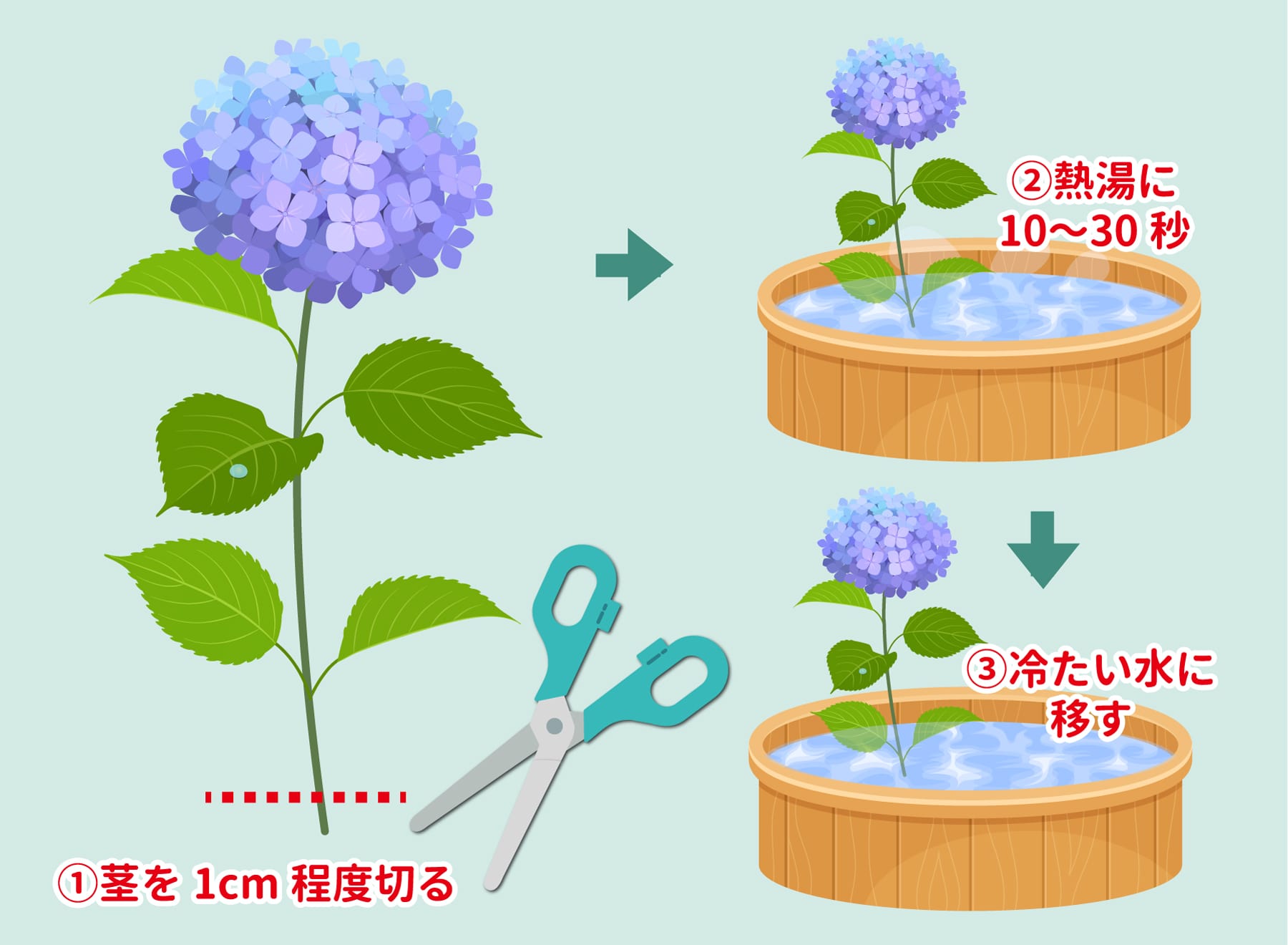 湯揚げ：ひまわり・アジサイなど