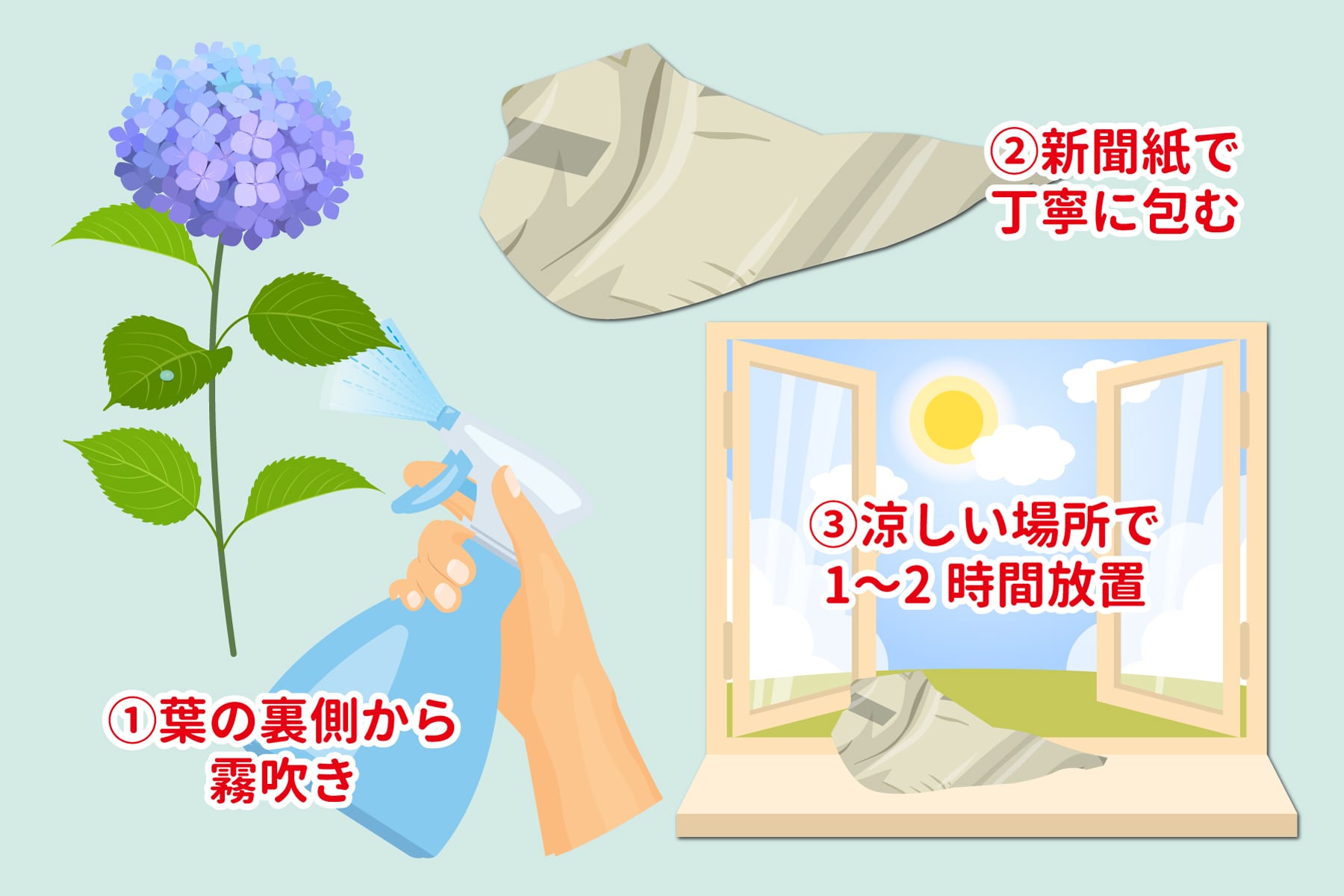 逆水：葉が大きな植物