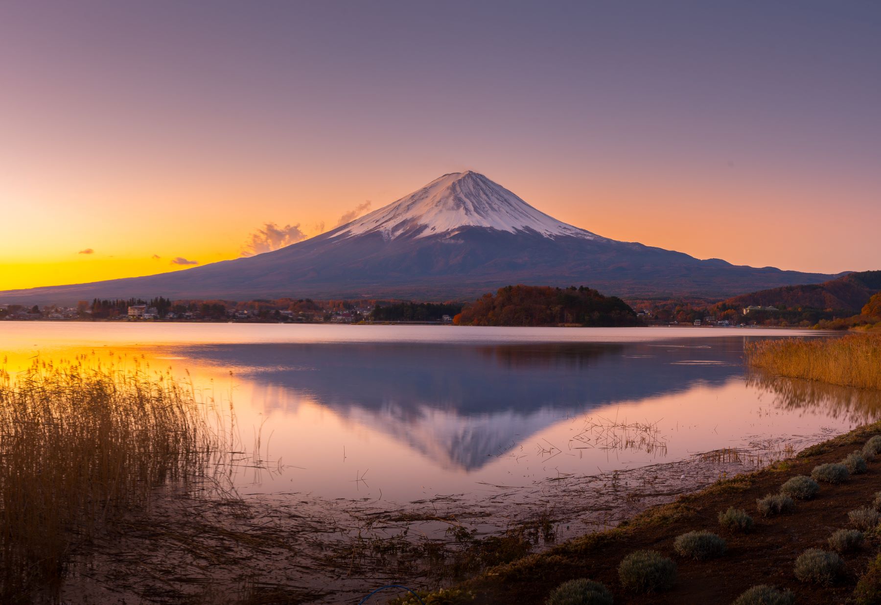 立冬の山