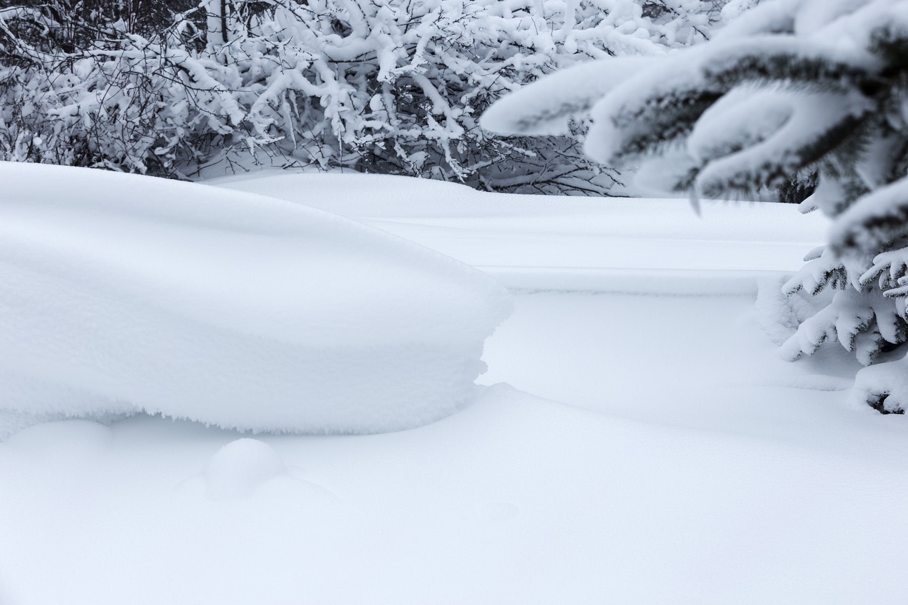 べた雪