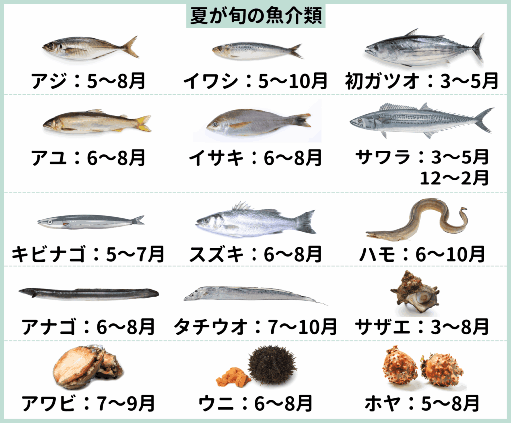 初夏・夏が旬の魚一覧