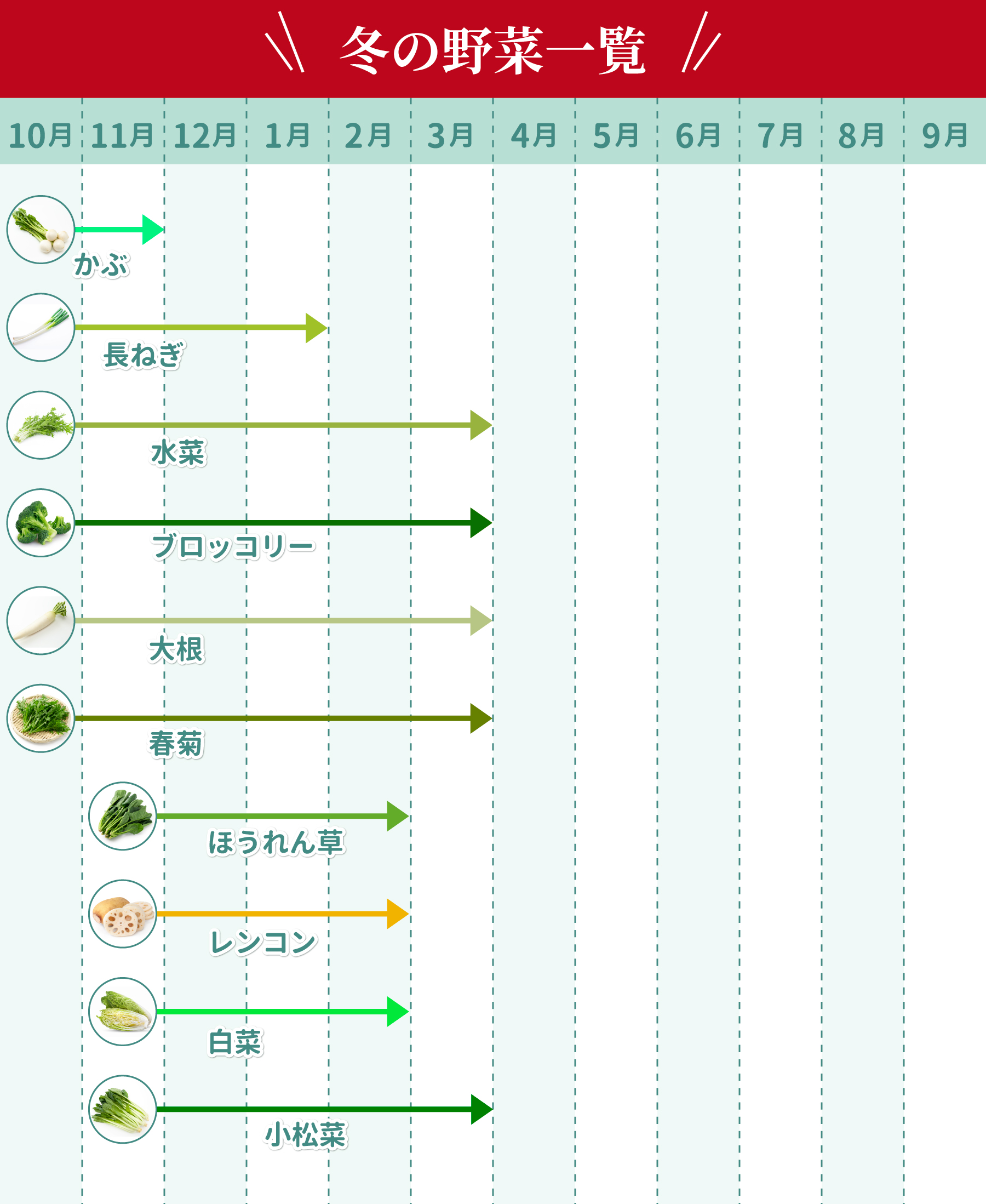 冬の野菜一覧【選び方・栄養素・レシピ】