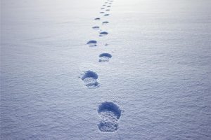 雪にはどんな種類がある？雪の名前や特徴を一覧表付きで解説！