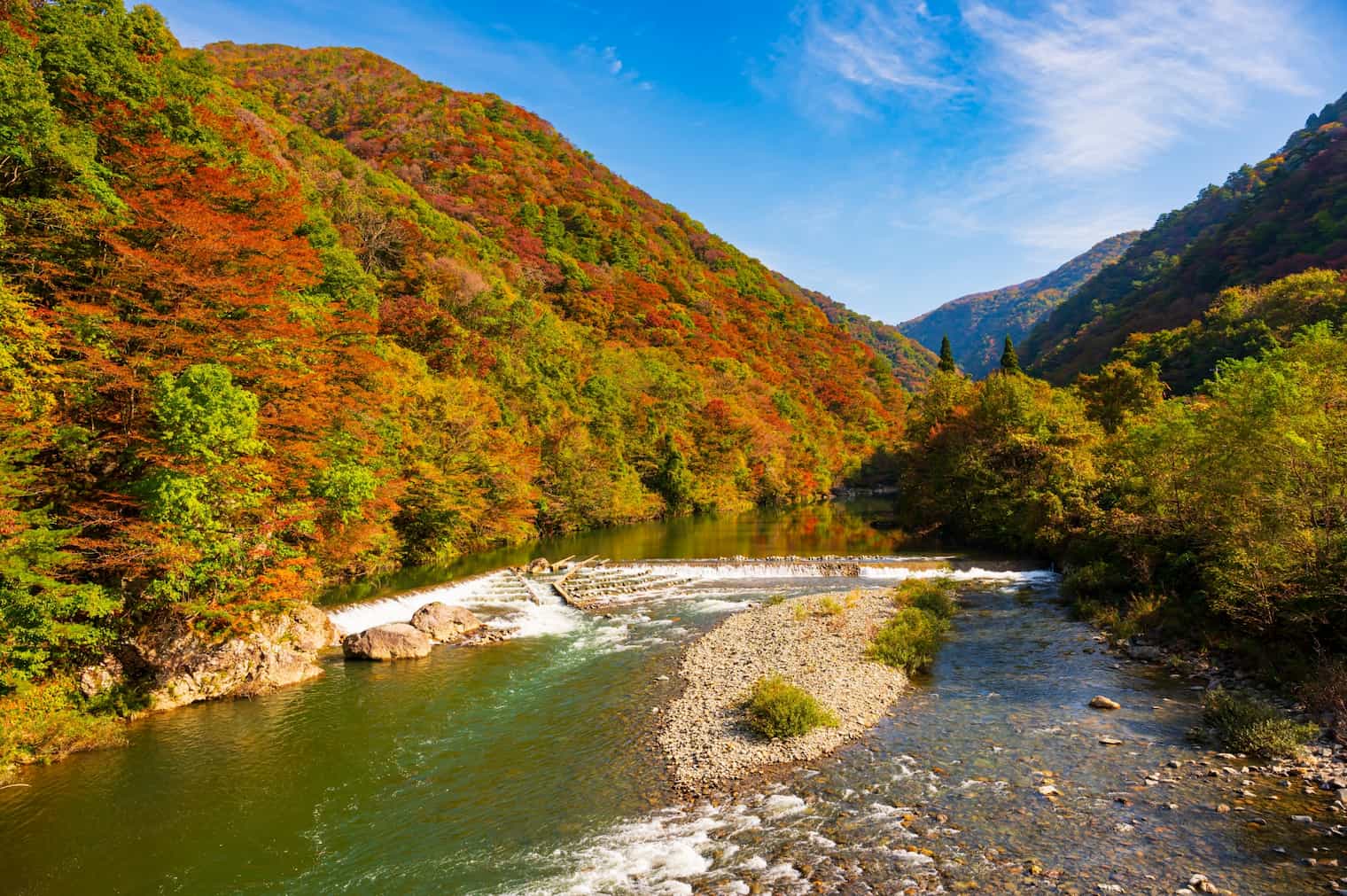 紅葉風景