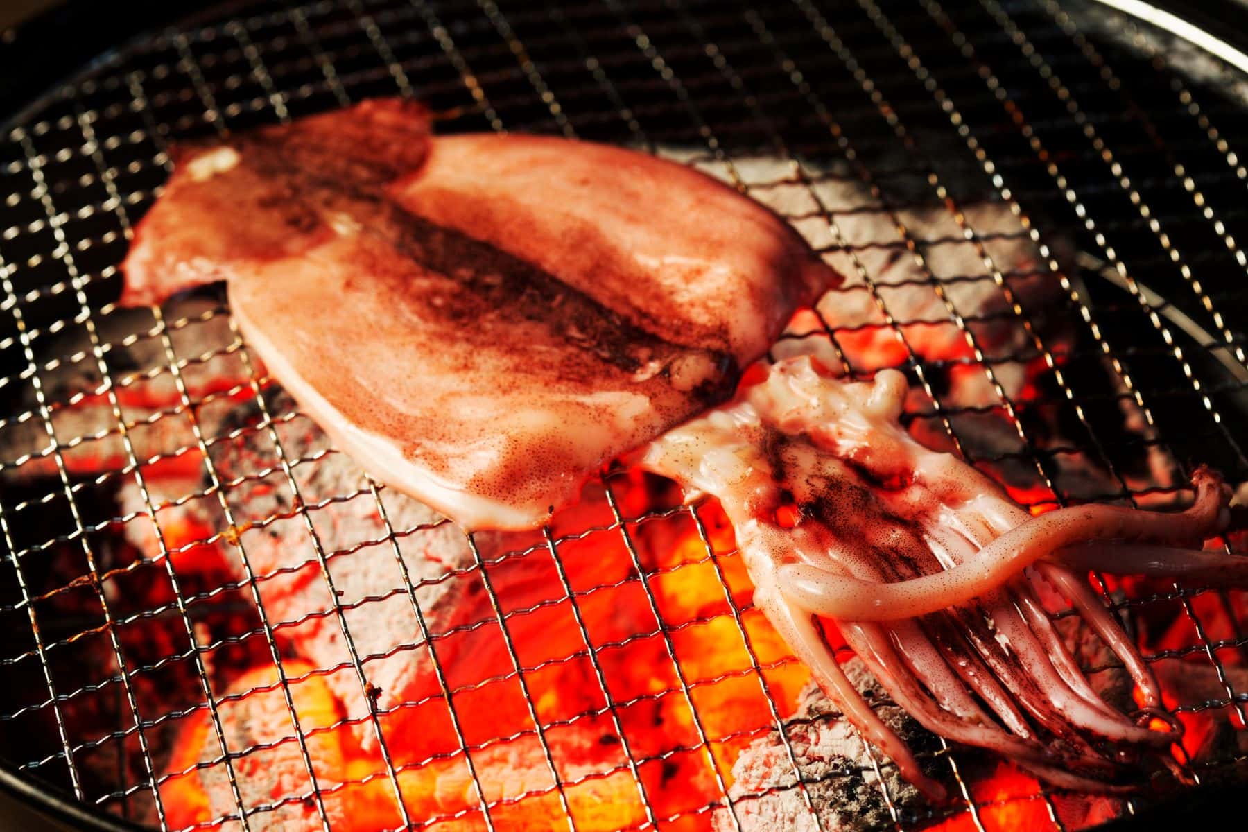 イカの一夜干し