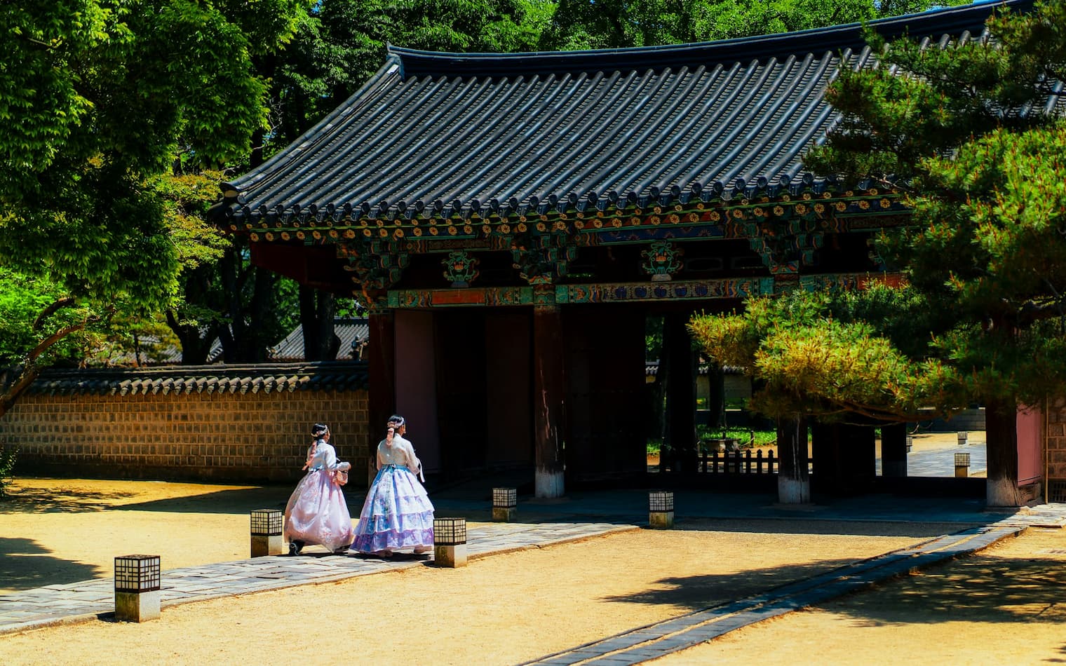 伝統的な衣装を身にまとう韓国の女性の写真