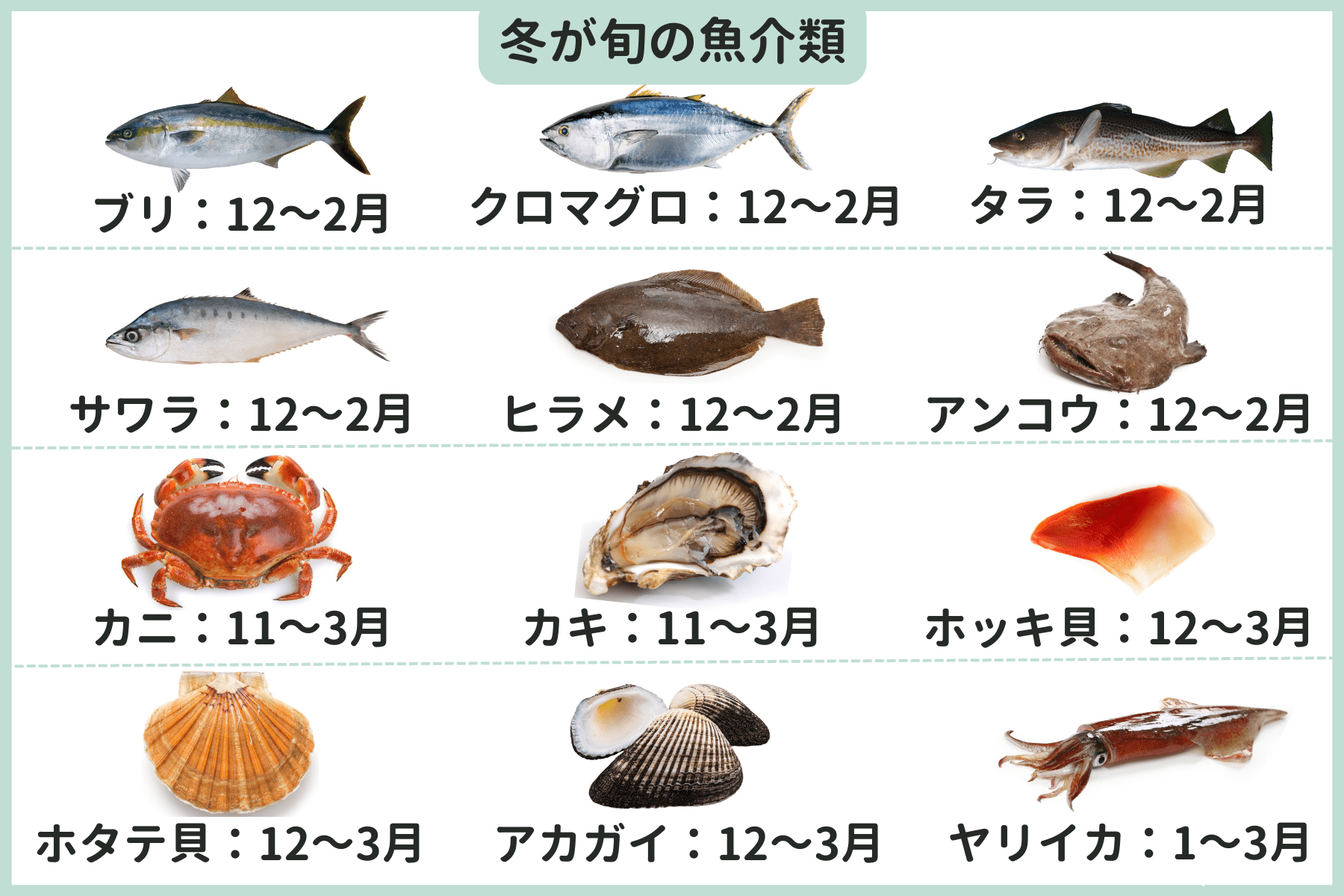 冬が旬の魚介類