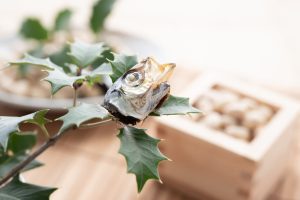 節分いわし(柊いわし)の意味と由来は？地域差や飾り方・期間とレシピも