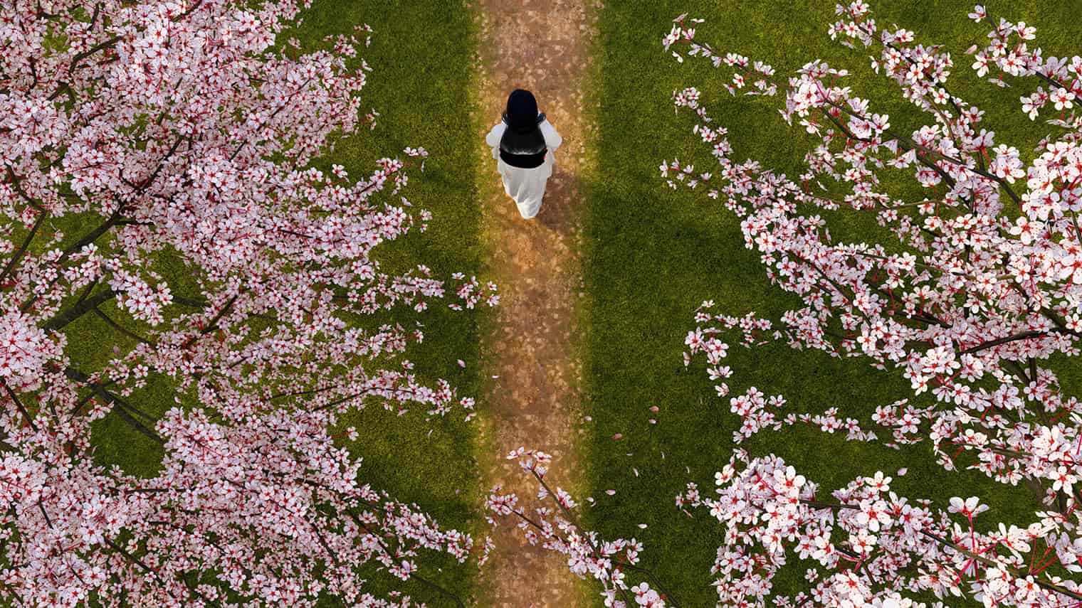 清明節はお花見や散歩などで春の景色を楽しむ