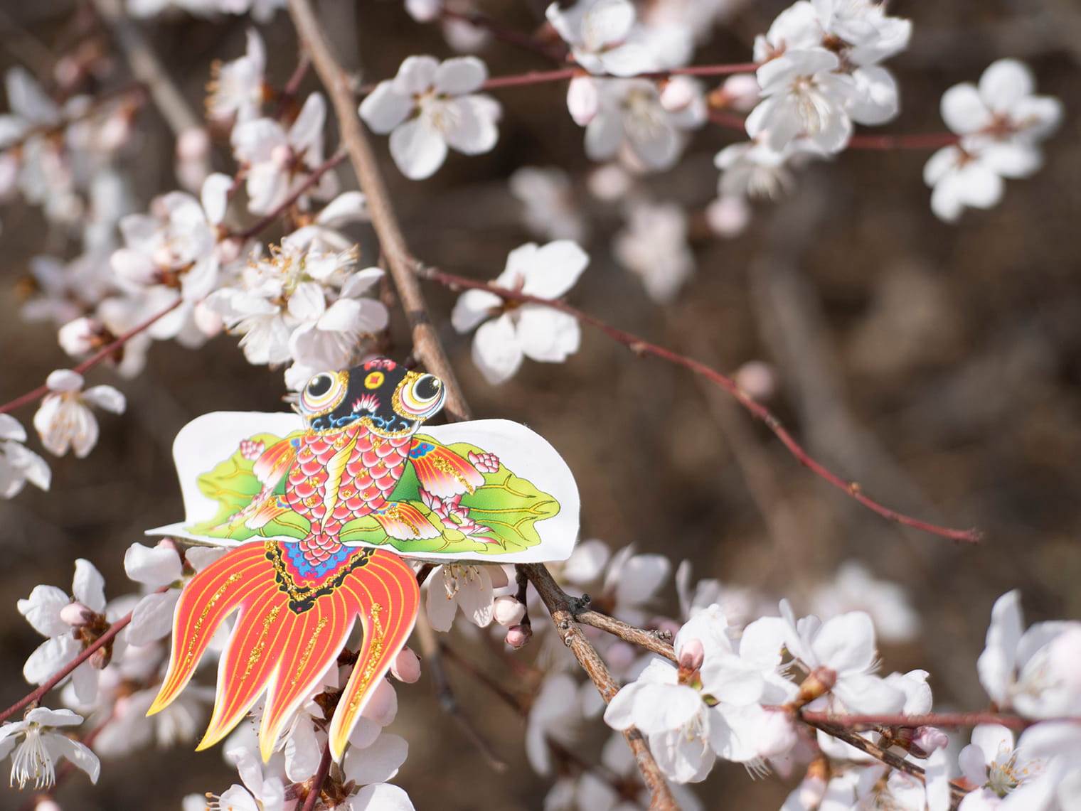 清明節は凧あげして邪気を飛ばす