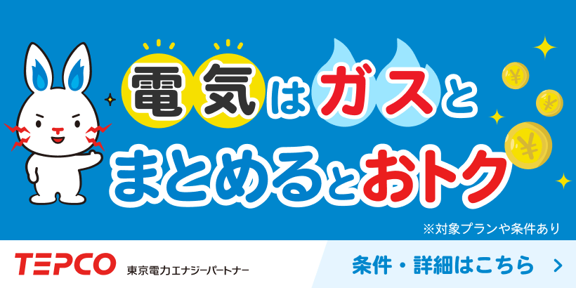 [TEPCO 電気はガスとまとめるとおトク(SP)]