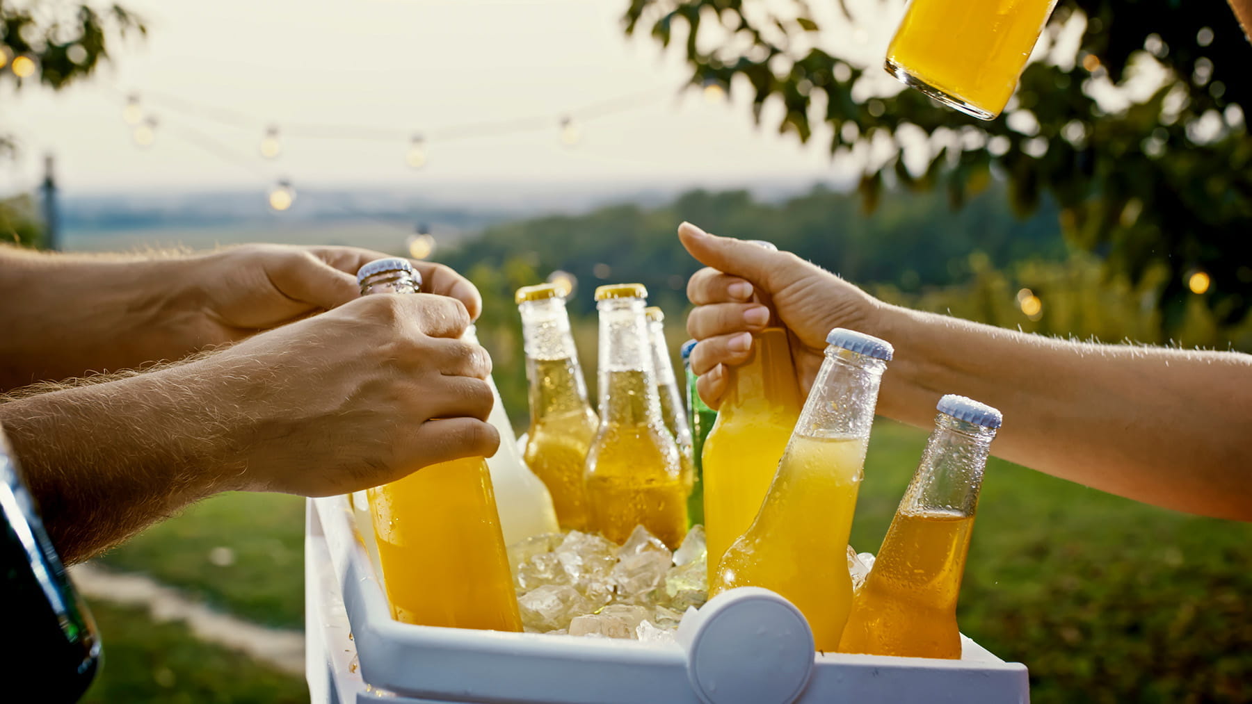 クーラーボックス・保冷剤