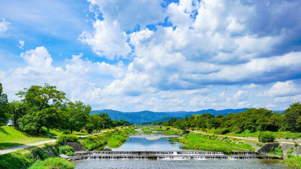 夏の風景