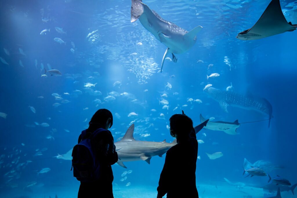 水族館
