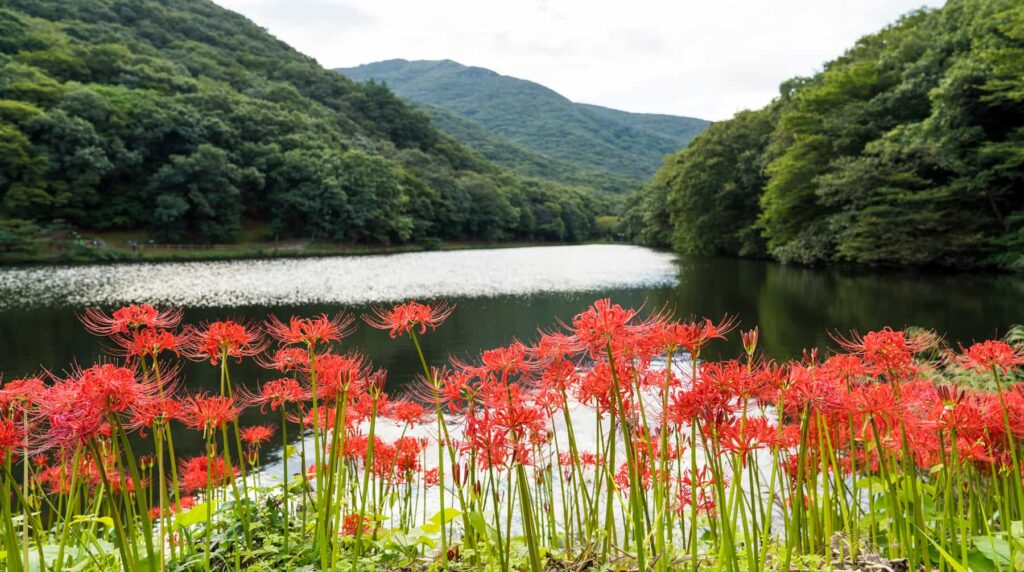 山と水辺に生える彼岸花