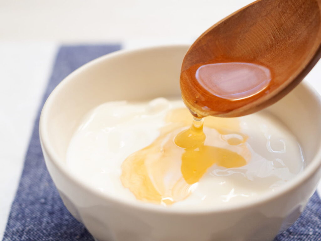 菌を育てて増やす:ヨーグルト(乳酸菌)× はちみつ(オリゴ糖)