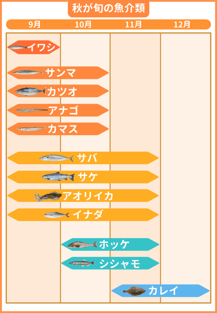 秋が旬の魚一覧