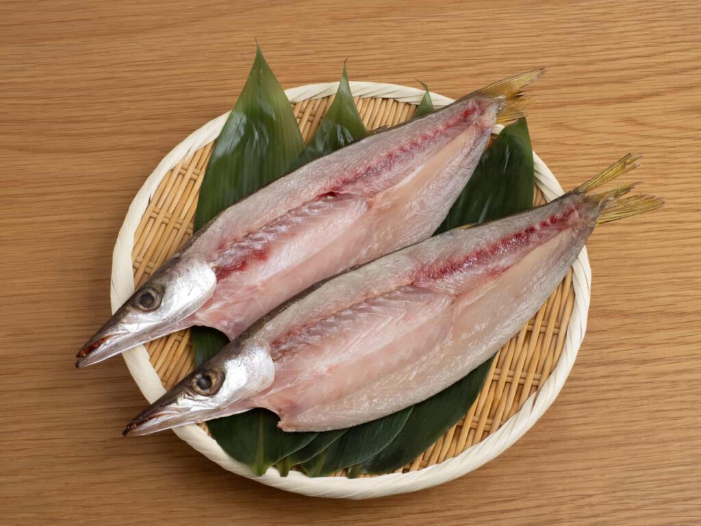 カマス