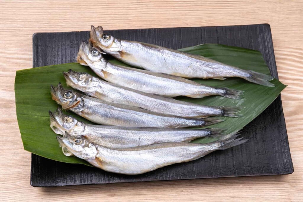 シシャモ